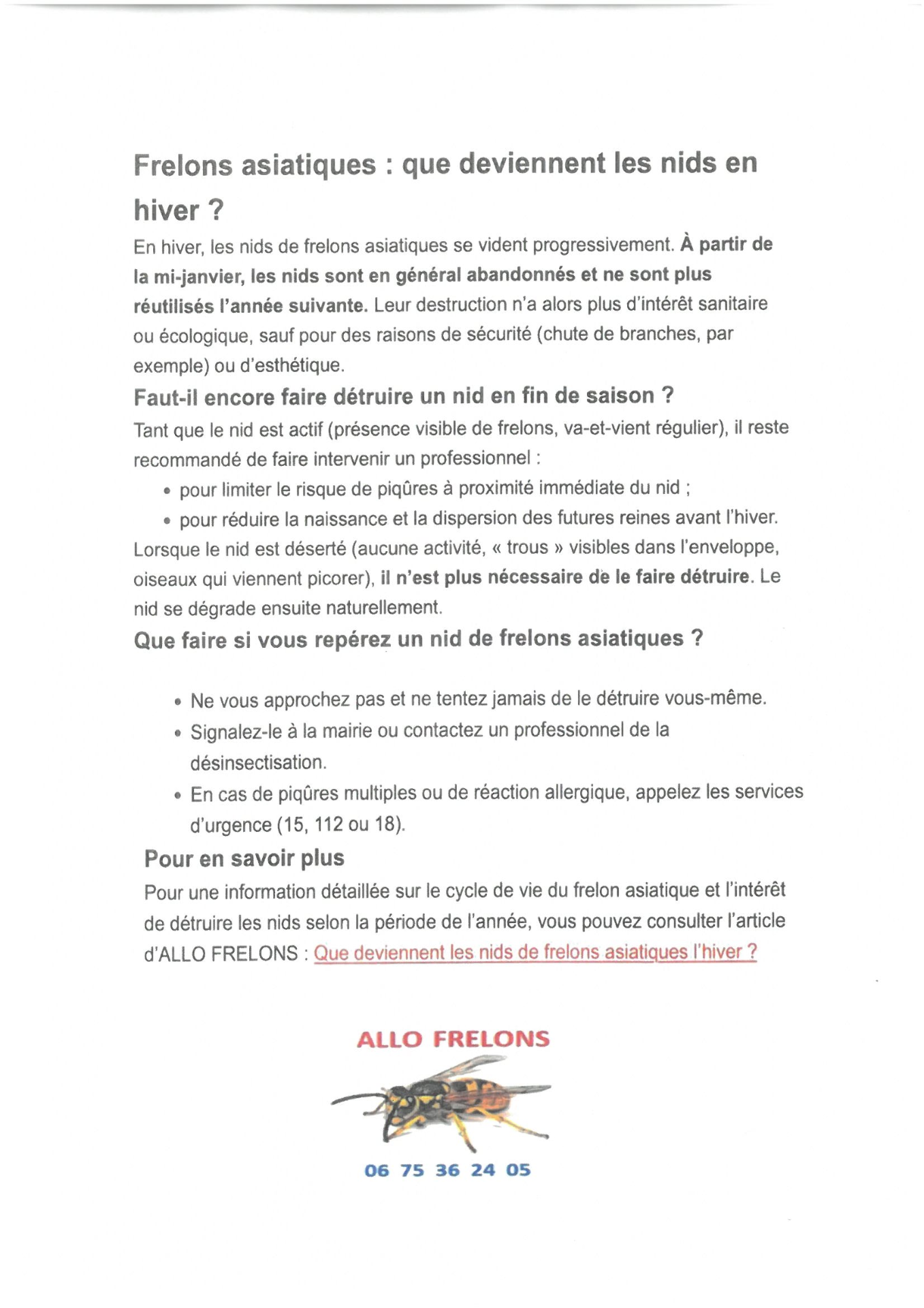 Information frelons asiatiques